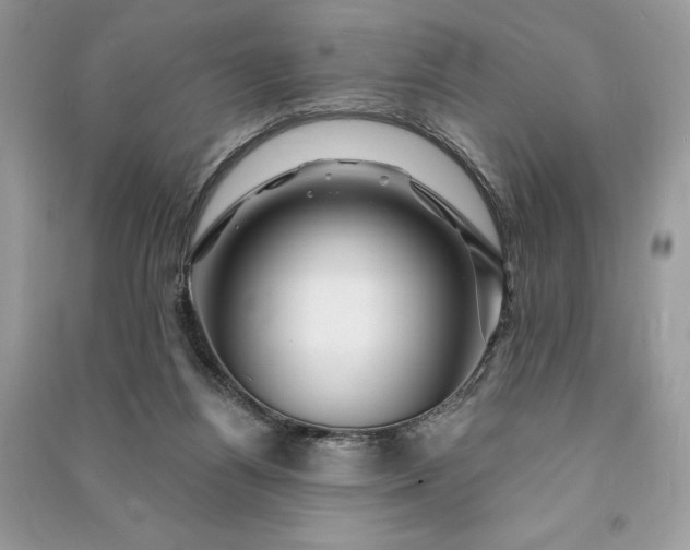 X0000090870164200708101341