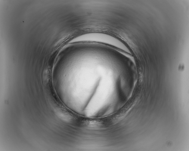 X0000090870165200708101341