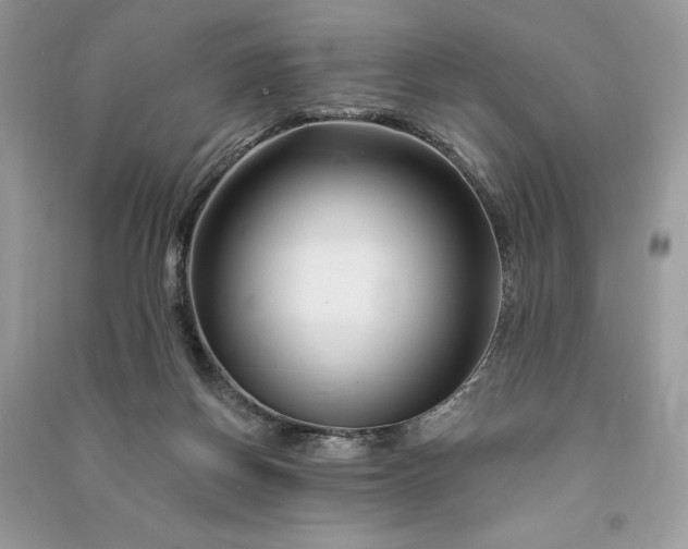 X0000090870166200708101341