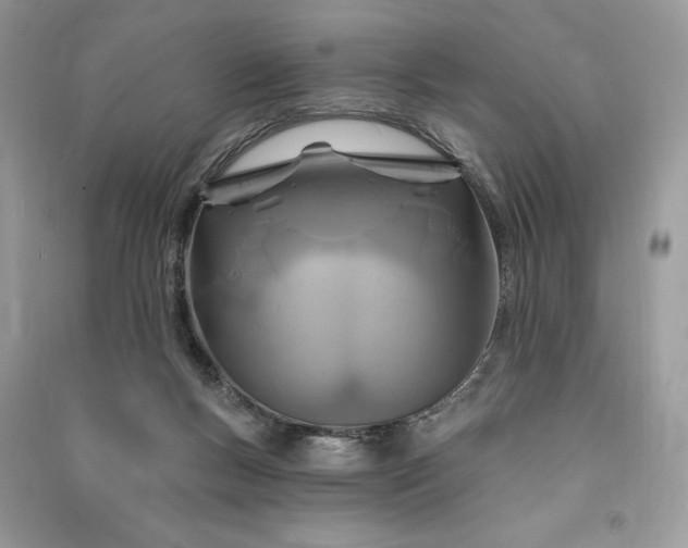 X0000090870167200708101341