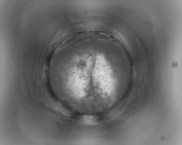 X0000090870169200708101341