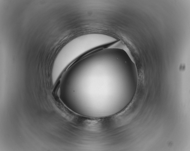 X0000090870170200708101341