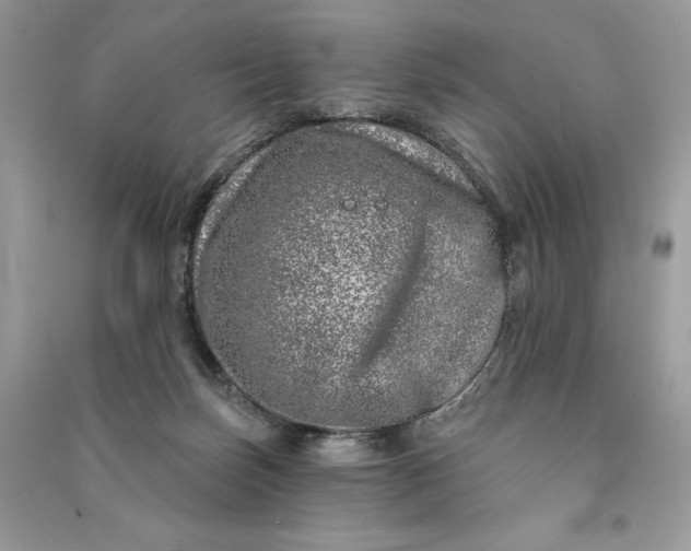 X0000090870171200708101341