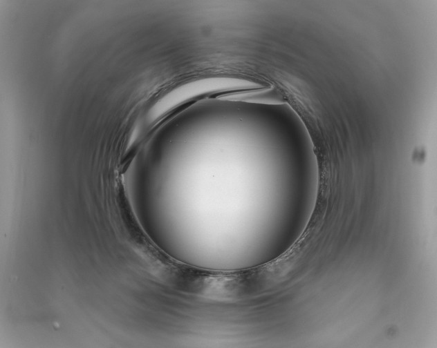 X0000090870172200708101341