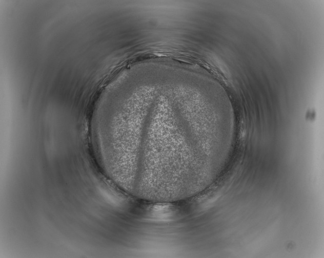 X0000090870173200708101341