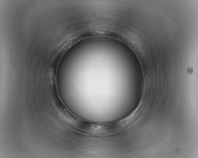 X0000090870174200708101341