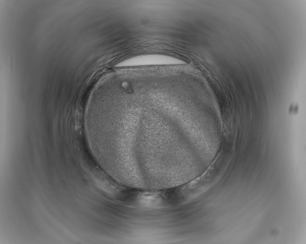 X0000090870175200708101341