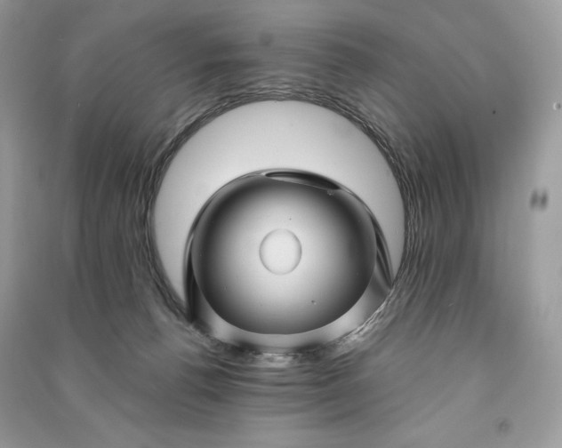 X0000090870176200708101341