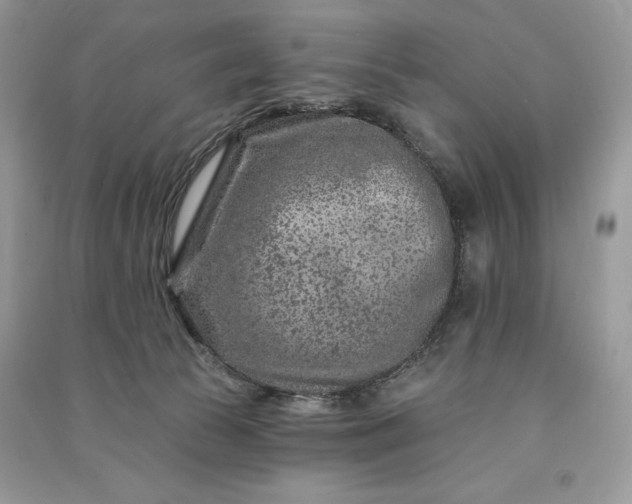 X0000090870177200708101341