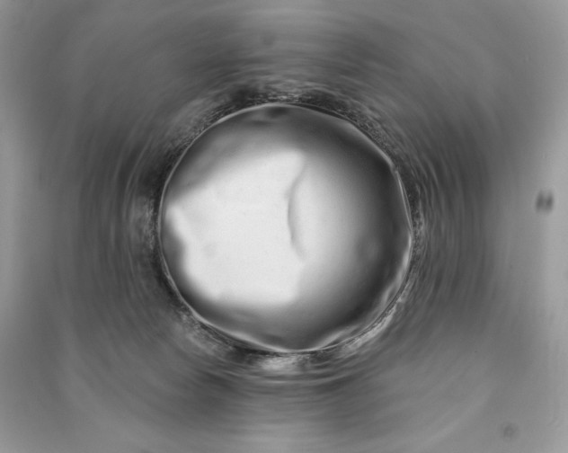 X0000090870178200708101341