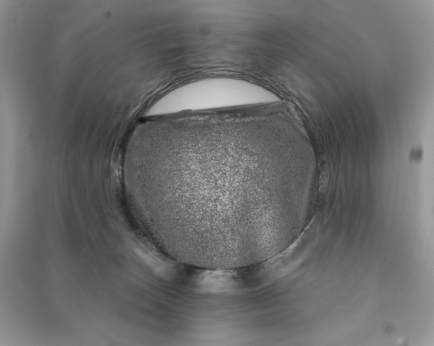 X0000090870179200708101341