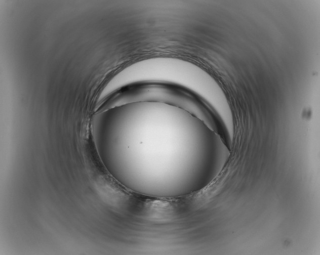 X0000090870180200708101341