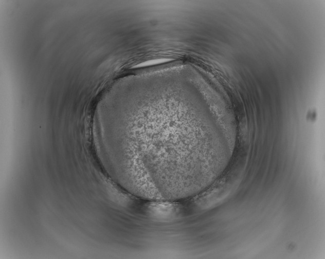 X0000090870181200708101341