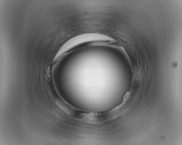 X0000090870182200708101341