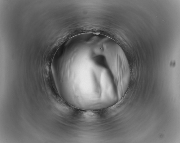 X0000090870183200708101341