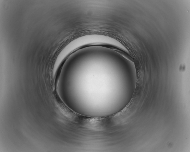 X0000090870184200708101341