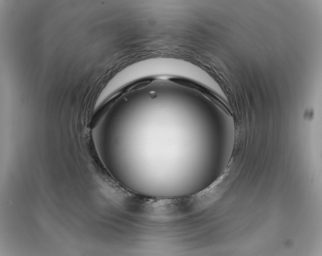 X0000090870186200708101341