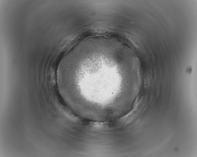 X0000090870187200708101341