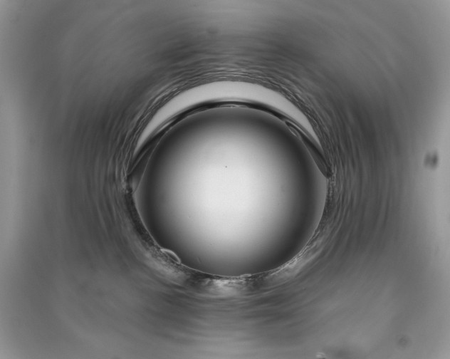 X0000090870188200708101341