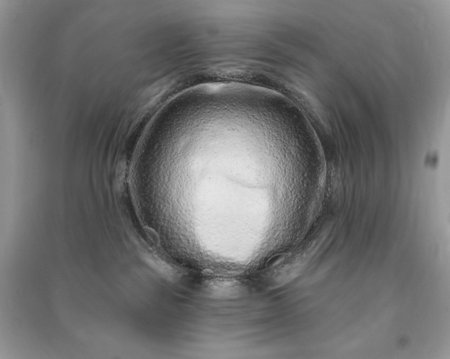 X0000090870189200708101341