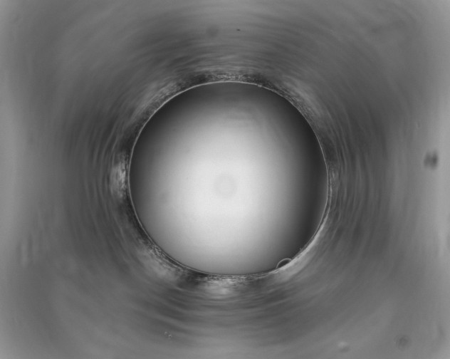 X0000090870190200708101341