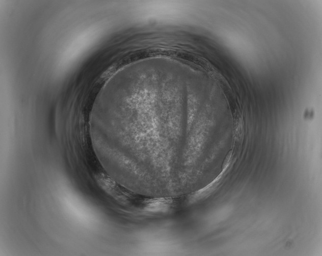 X0000090870191200708101341