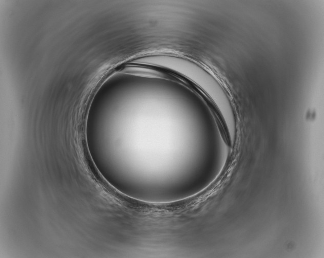 X0000090870193200708101341