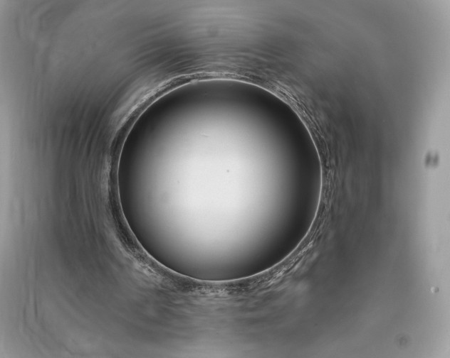 X0000090870194200708101341