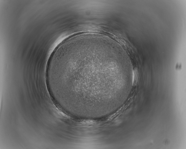 X0000090870195200708101340