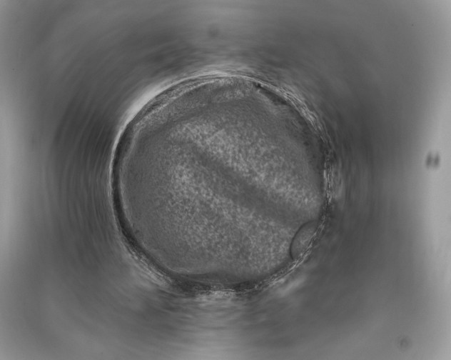 X0000090870196200708101340