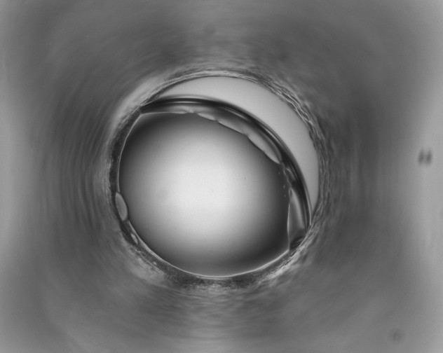 X0000090870197200708101340