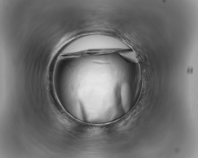 X0000090870198200708101340