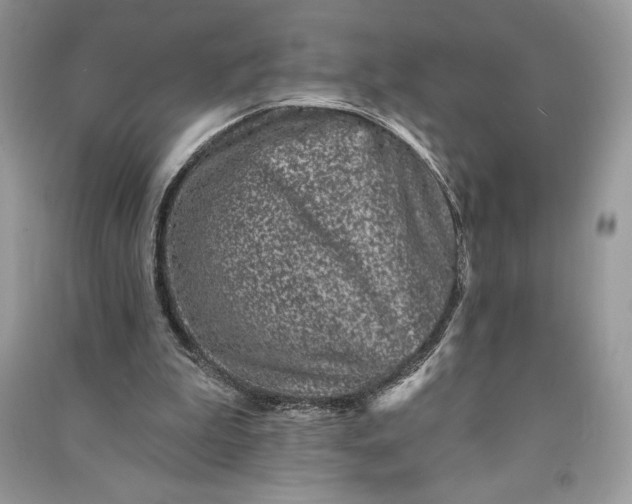 X0000090870199200708101340