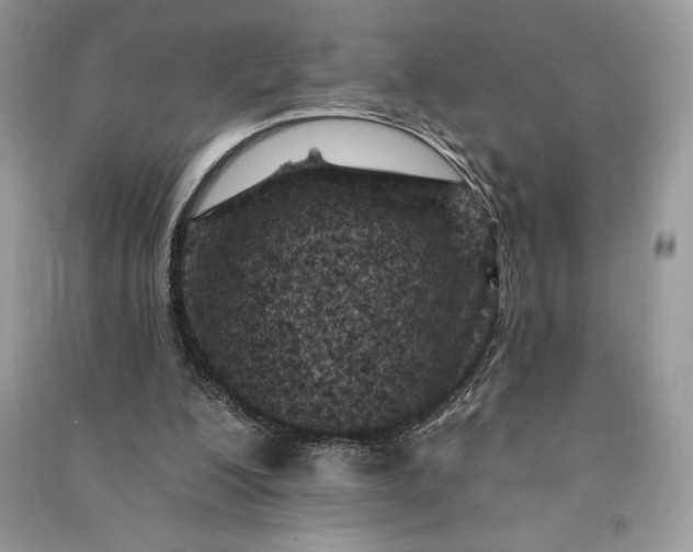 X0000090870200200708101340