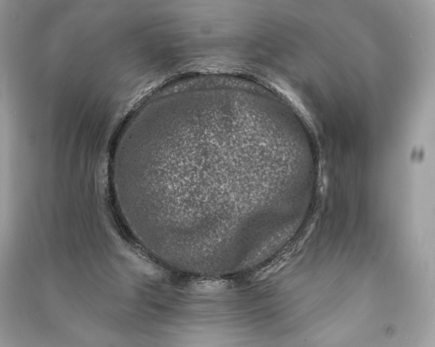 X0000090870202200708101340