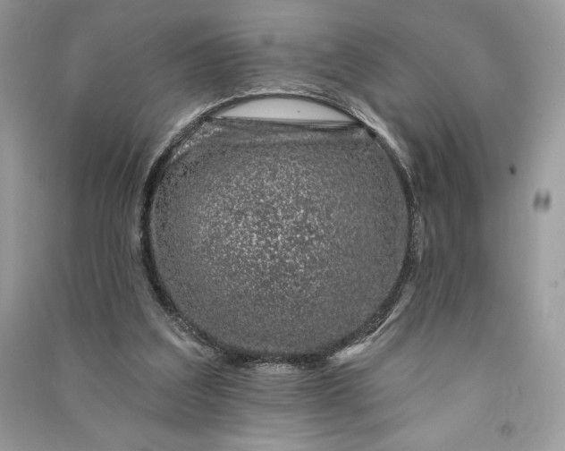 X0000090870203200708101340