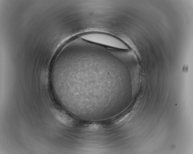 X0000090870204200708101340