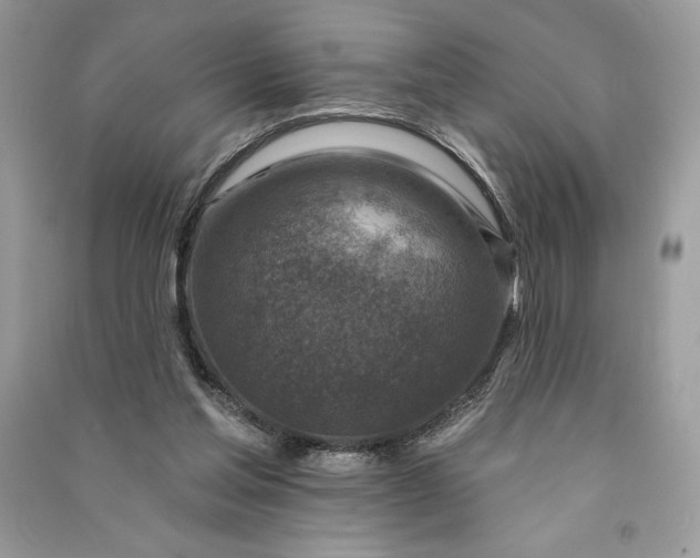 X0000090870205200708101340