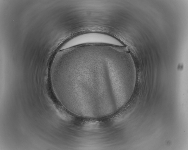 X0000090870206200708101340