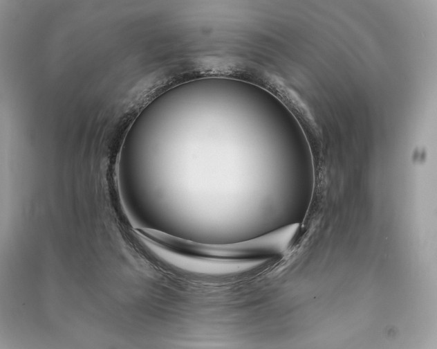 X0000090870209200708101340