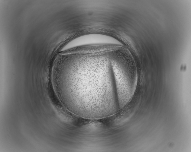 X0000090870210200708101340