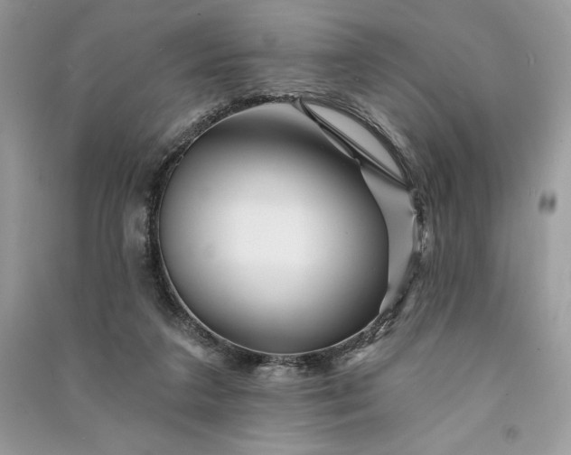 X0000090870211200708101340