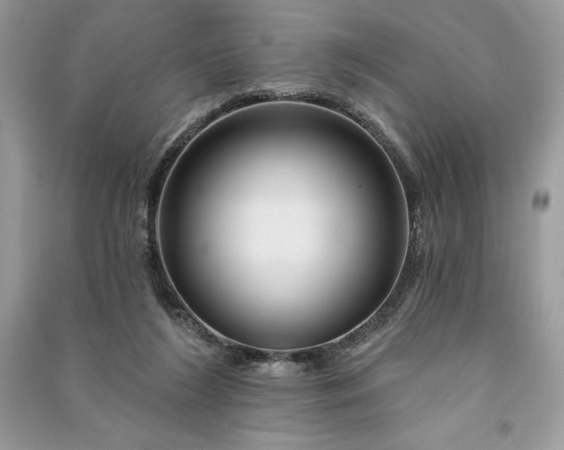 X0000090870212200708101340