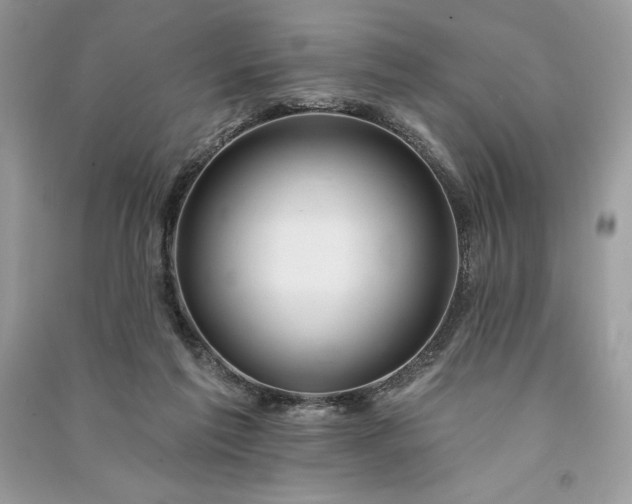 X0000090870213200708101340