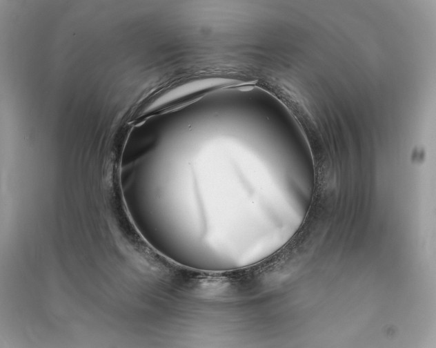 X0000090870214200708101340