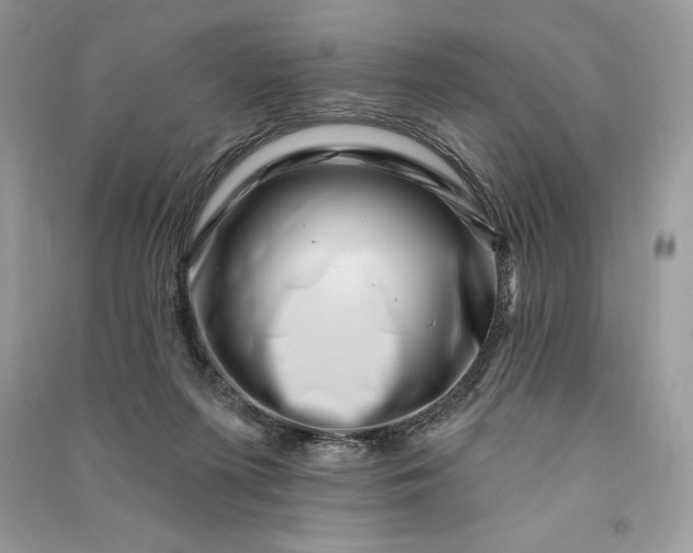 X0000090870215200708101340