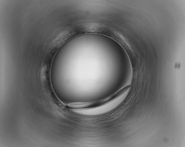 X0000090870217200708101340