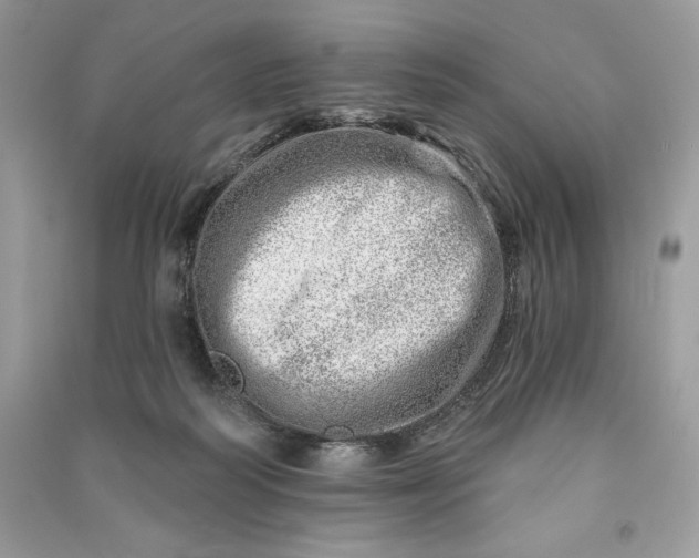 X0000090870218200708101340