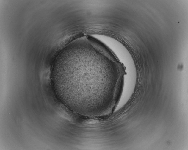 X0000090870219200708101340