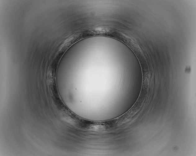 X0000090870220200708101340